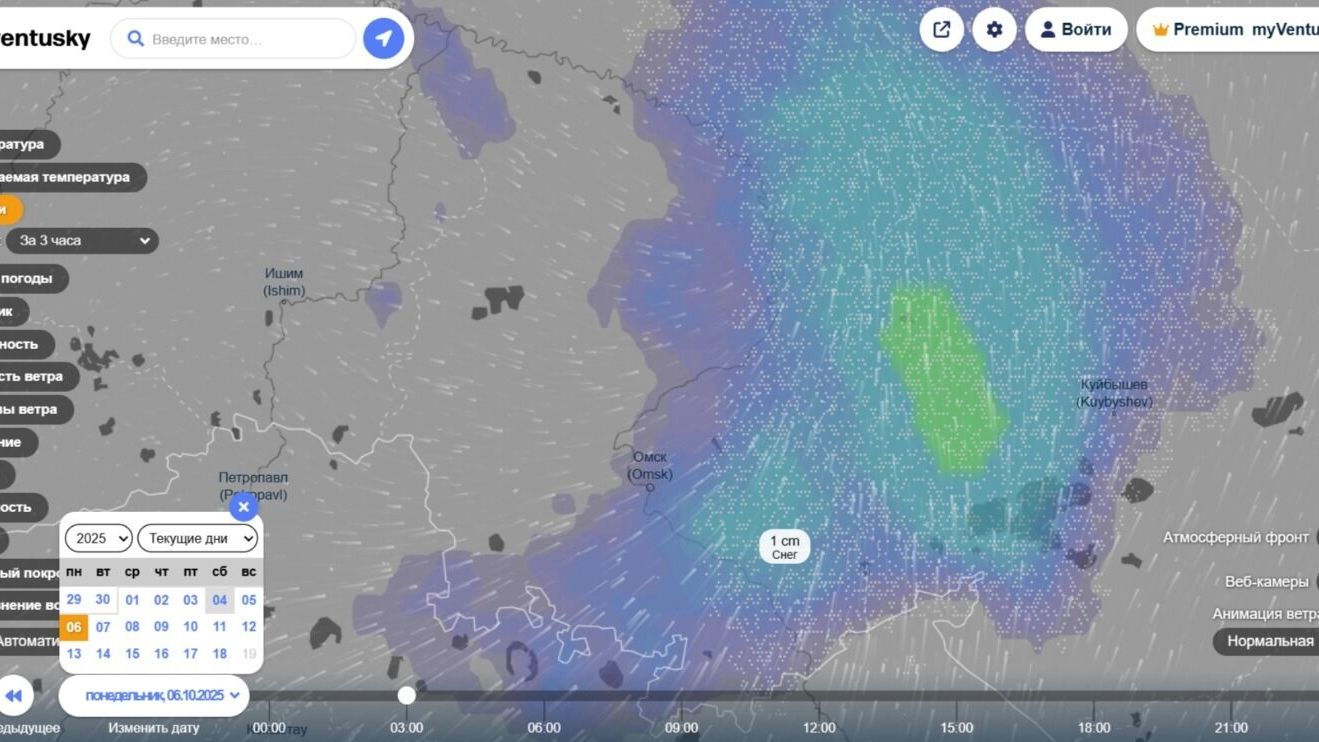 На следующей неделе омичей ждут снежные осадки