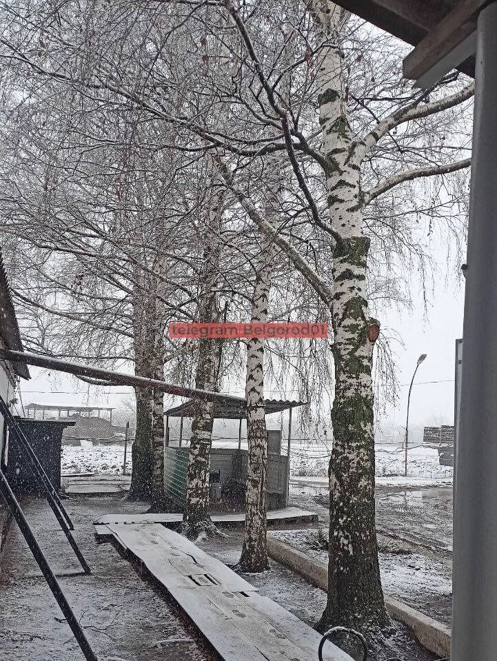 Снег в&nbsp;Вейделевском районе