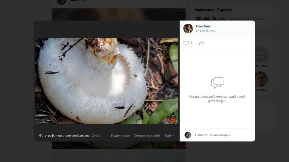 Пушистый гриб