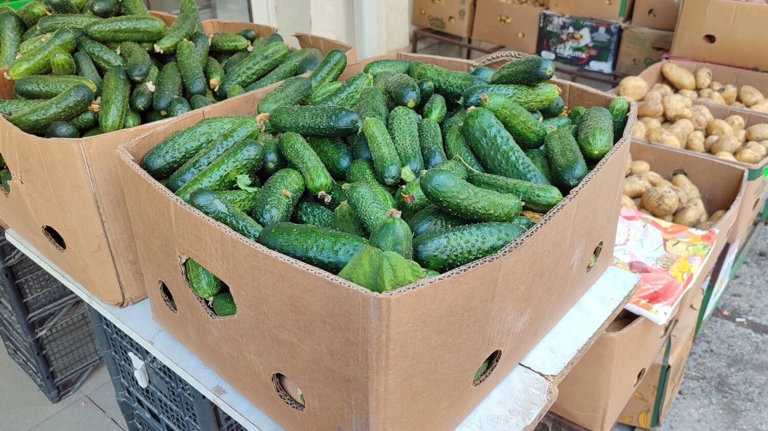 Продажа огурцов на рынке
