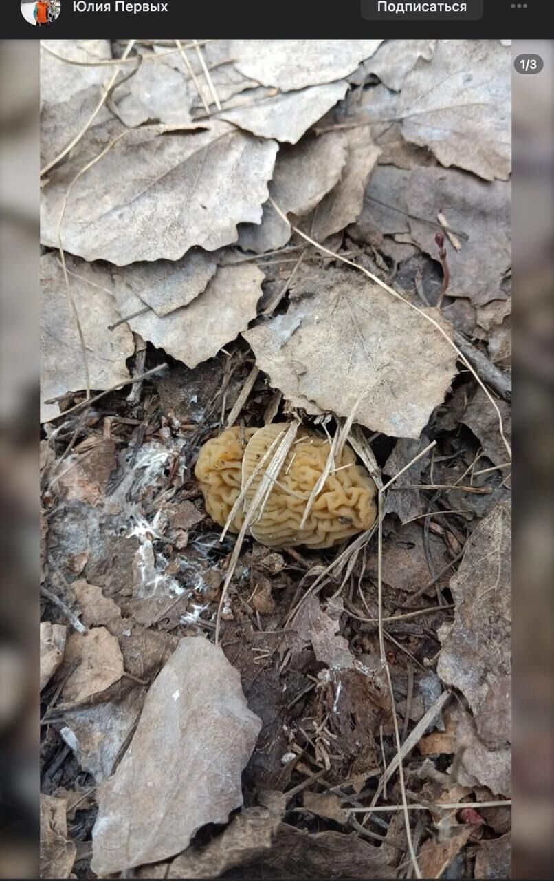 Красноярский тракт