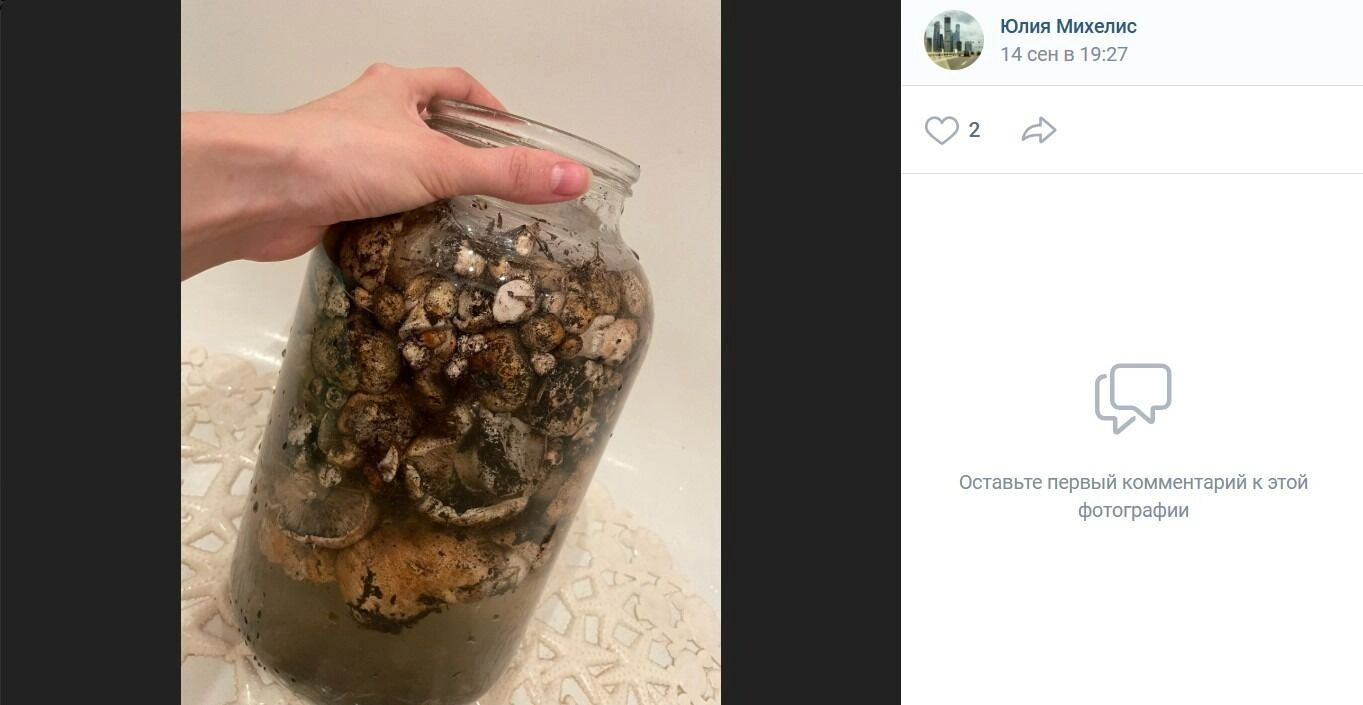 Плдтопольники в районе Сосновки Азовского района