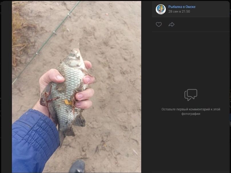 Скриншоты фотографий, опубликованных после рыбалки на омской лодочной станции