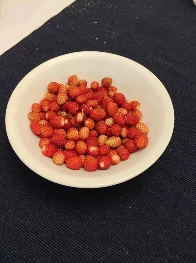 Землянику собрали жители Дальнеконстантиновского района