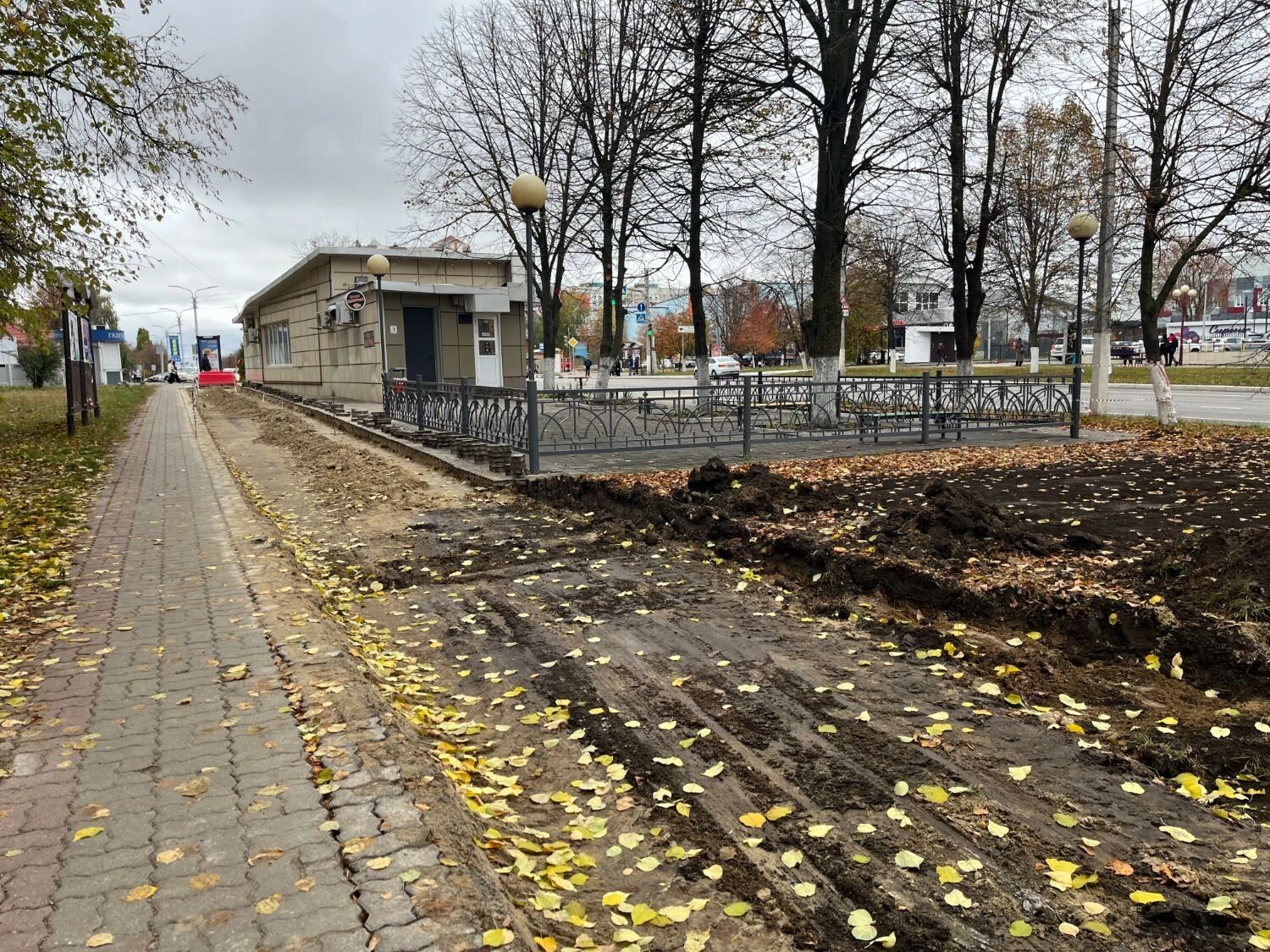 Будущая велодорожка на проспекте Ватутина