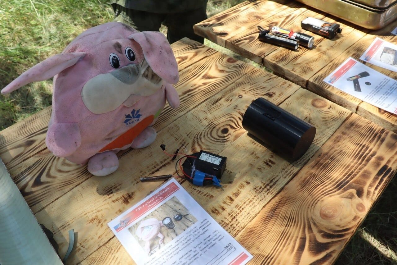 Предупредите детей об опасности: что стоит за взрывом в Красногорске