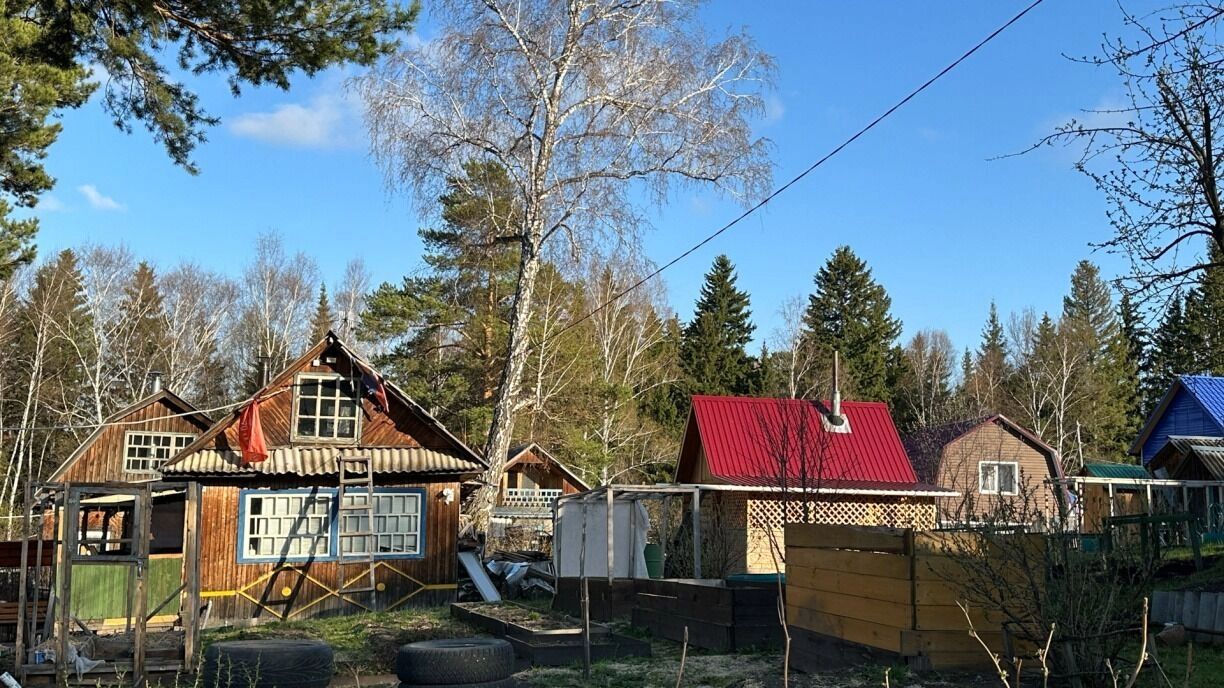 На фото: дачный поселок в лесном массиве