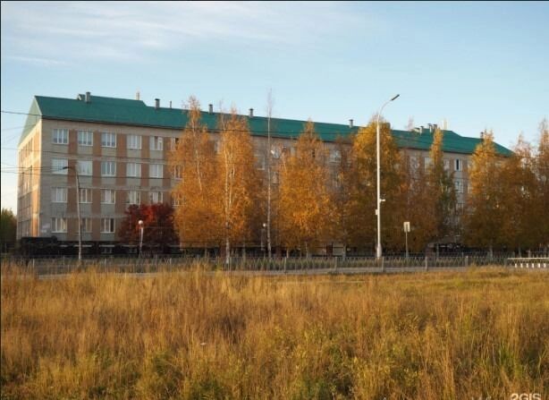Средняя школа № 17 расположена по адресу ул. Заводская, 9, в микрорайоне 1п.