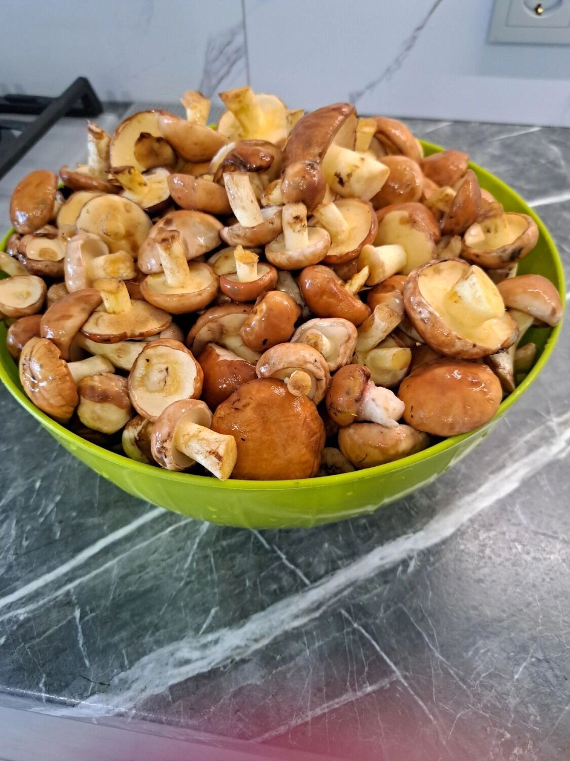 Белгородцы хвастаются грибным «уловом»