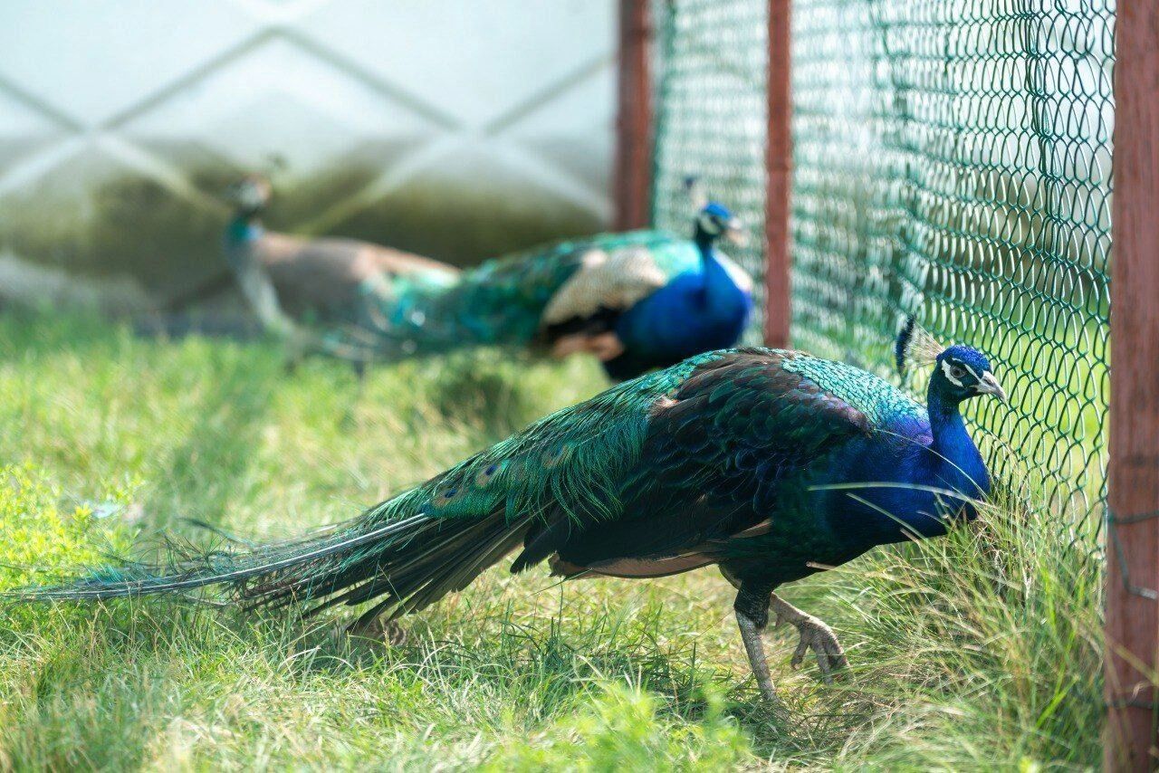 В Ачаире тоже есть, что посмотреть