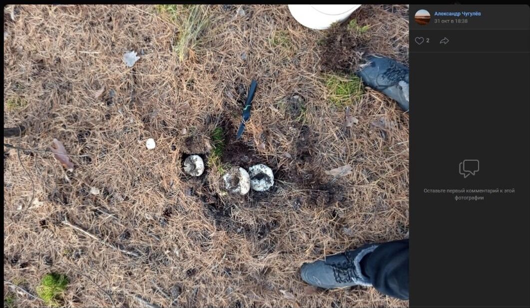 Скриншоты кадров, сделанных в лесах у Красноярского тракта