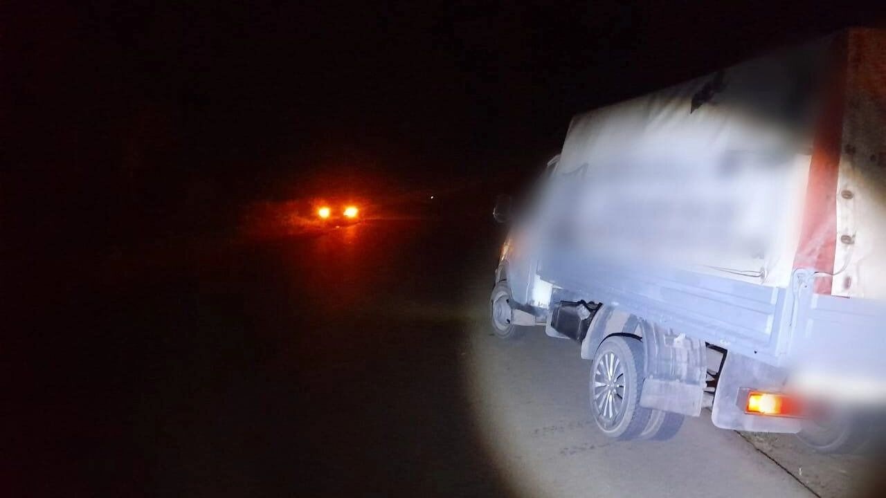 В Удмуртии под колесами «ГАЗели» погибла 12-летняя девочка
