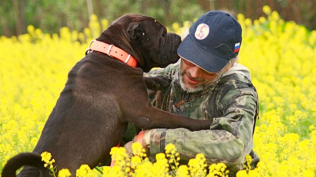 Собачьи законы. Как дело «писающего пса» раскололо москвичей на два лагеря