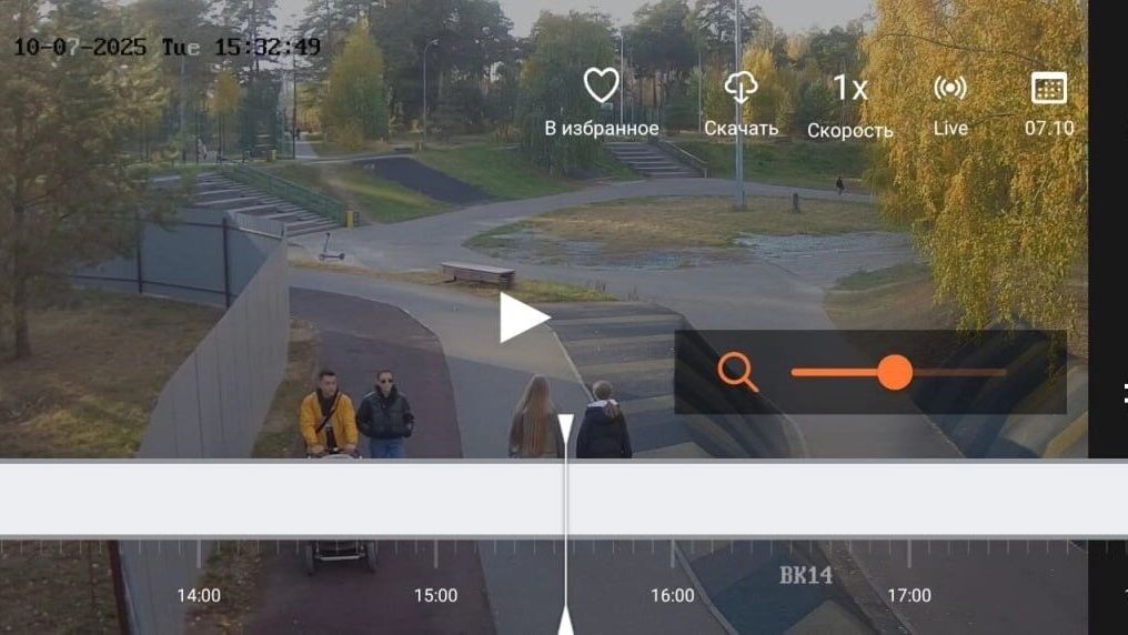 Скриншот с&nbsp;камеры наблюдения в&nbsp;парке Урицкого