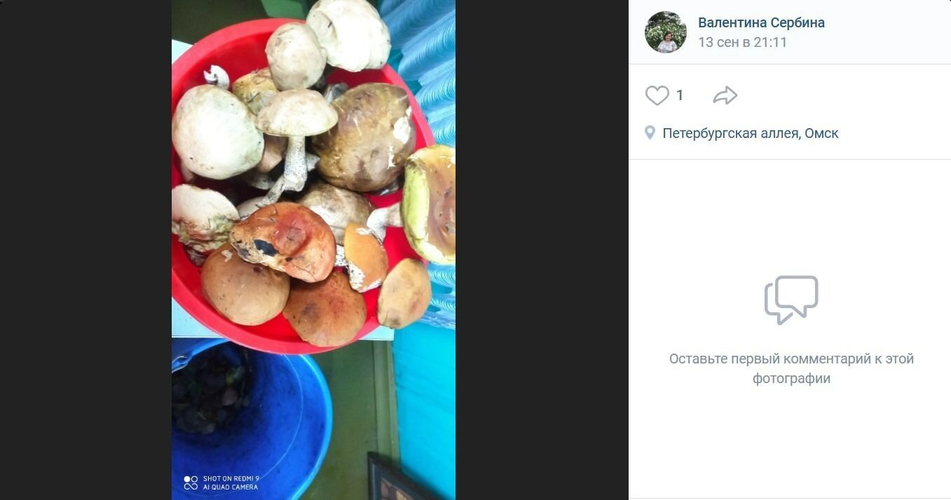 Немного грибов встречается в районе Сыропятского тракта