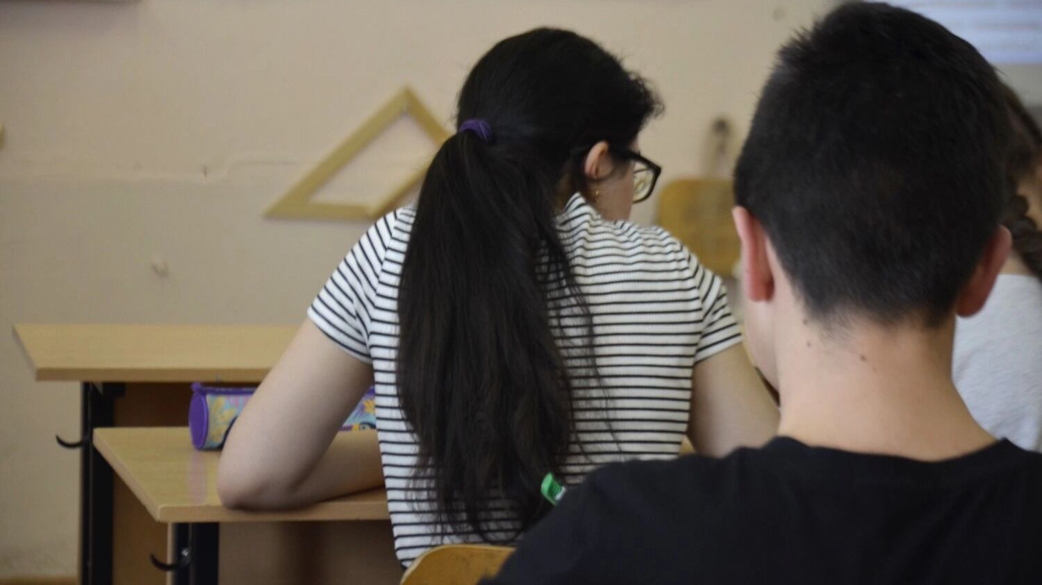Проблему подготовки к прохождению обязательного тестирования надо решать системно