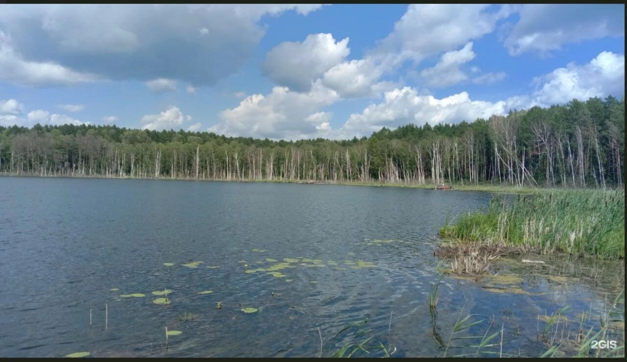 Купаться в озере запрещено