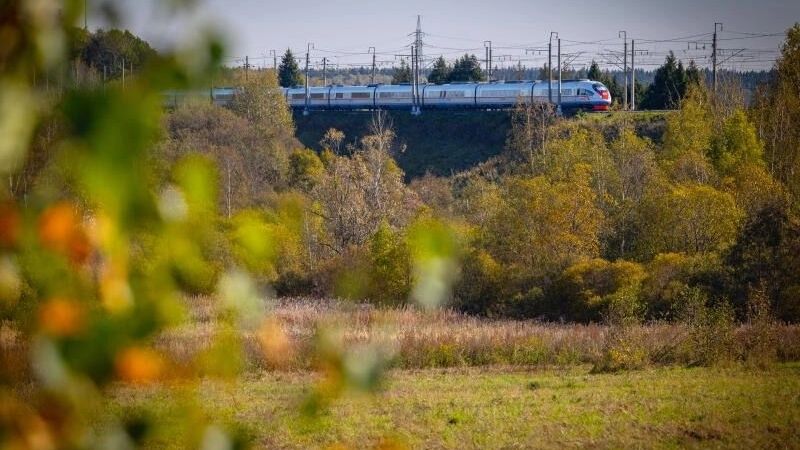 Рельсовая война возобновилась? Что известно о новых ЧП на железной дороге