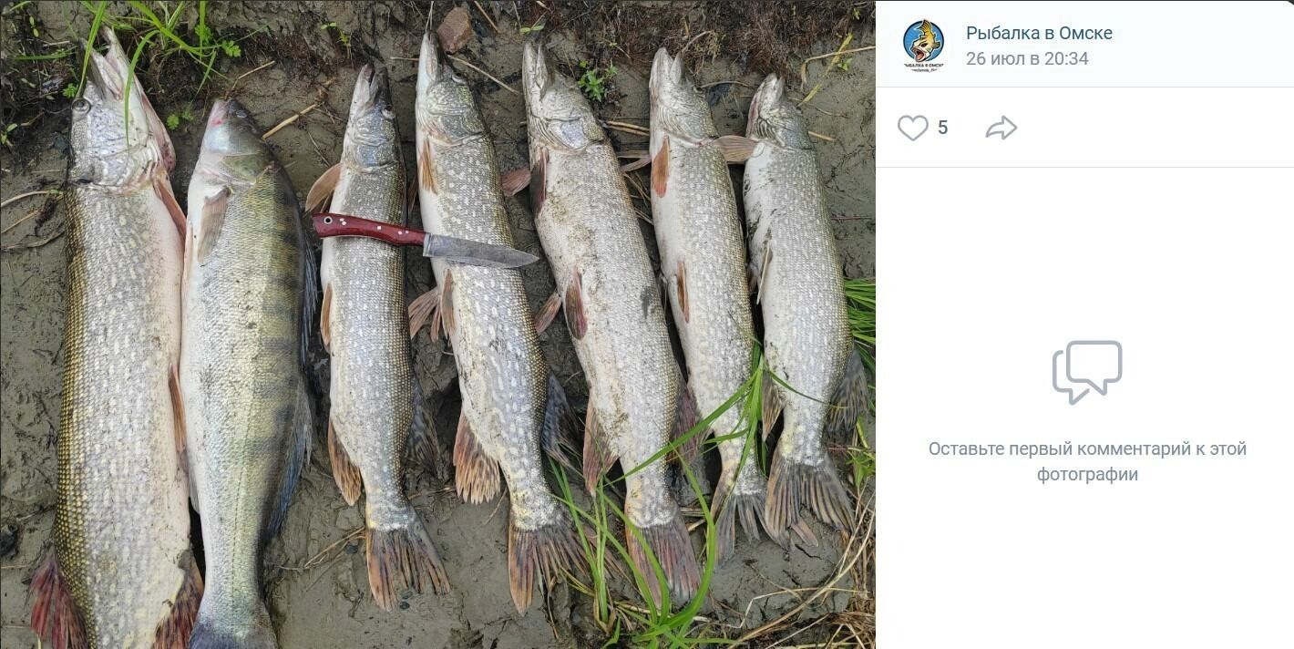 Показываем, что ловится в районе Большеречья
