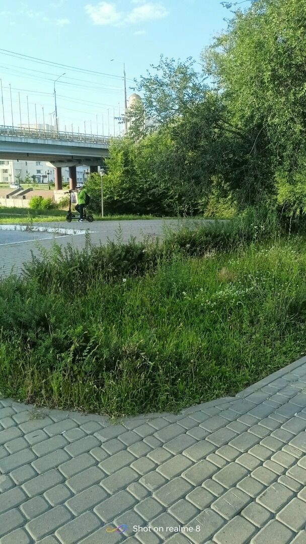 Непокошенная территория в центре города