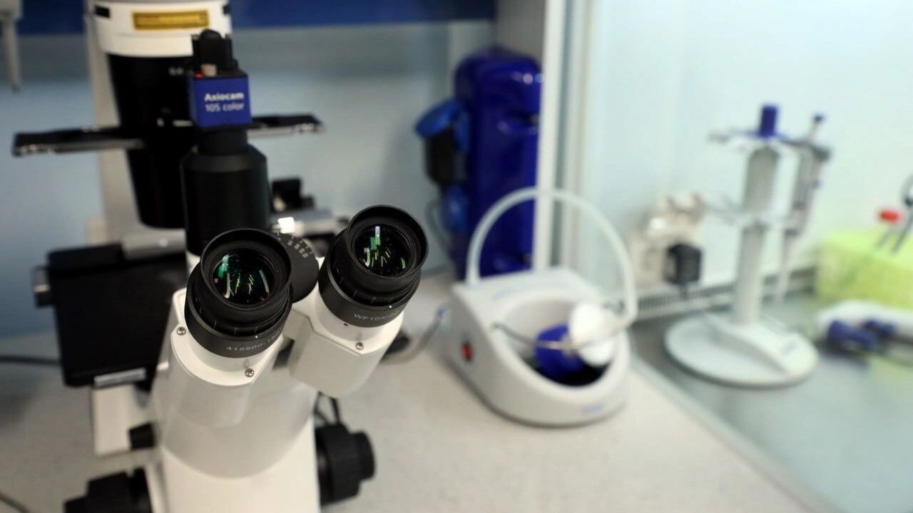 Ученые ВолгГМУ разработали вещество для лечения эпилептиков