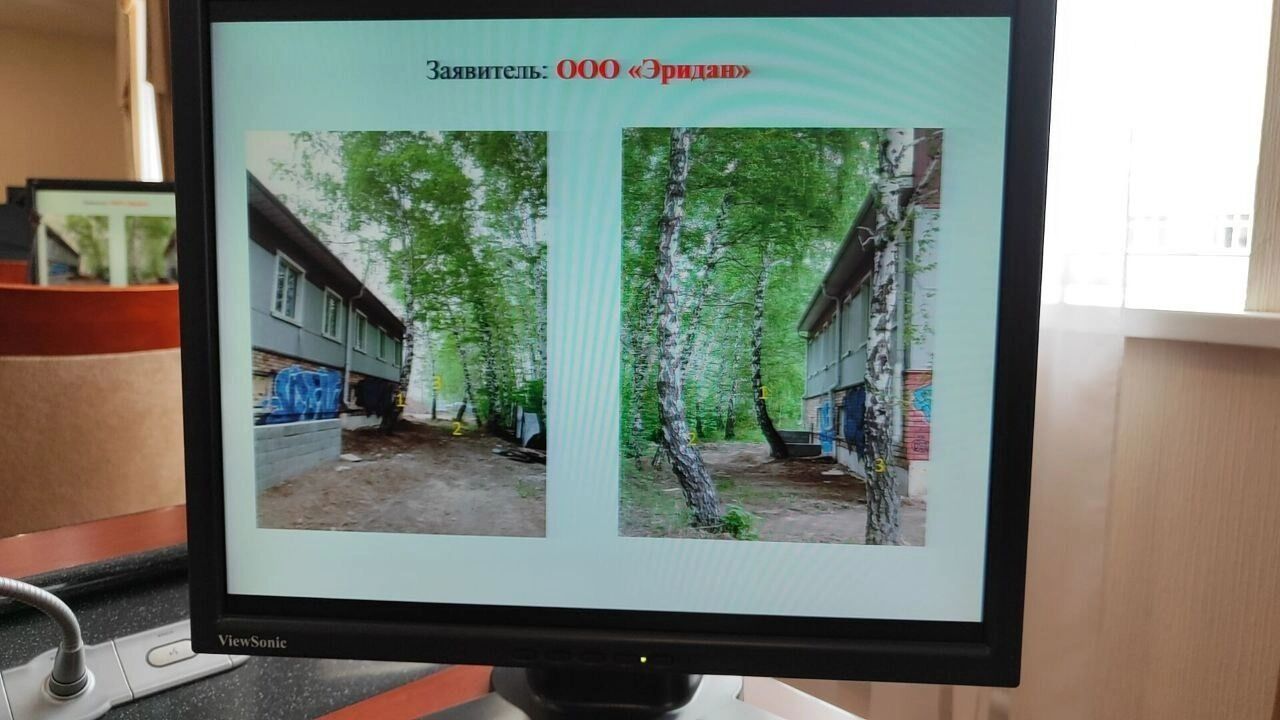 Три дерева хотят снести рядом с новым зданием на Ватутина