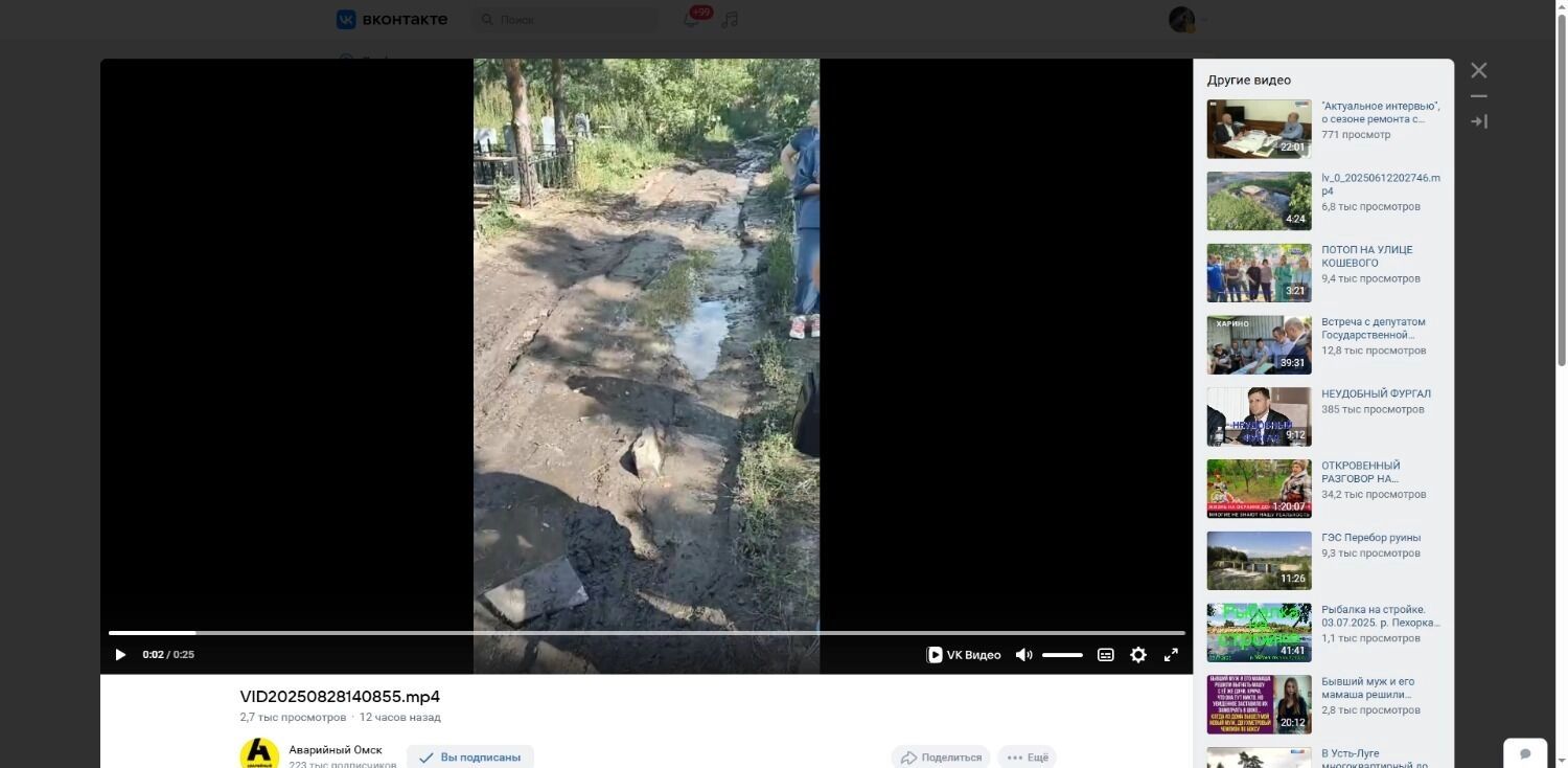 Вот так выглядит главная дорога на&nbsp;Южном кладбище