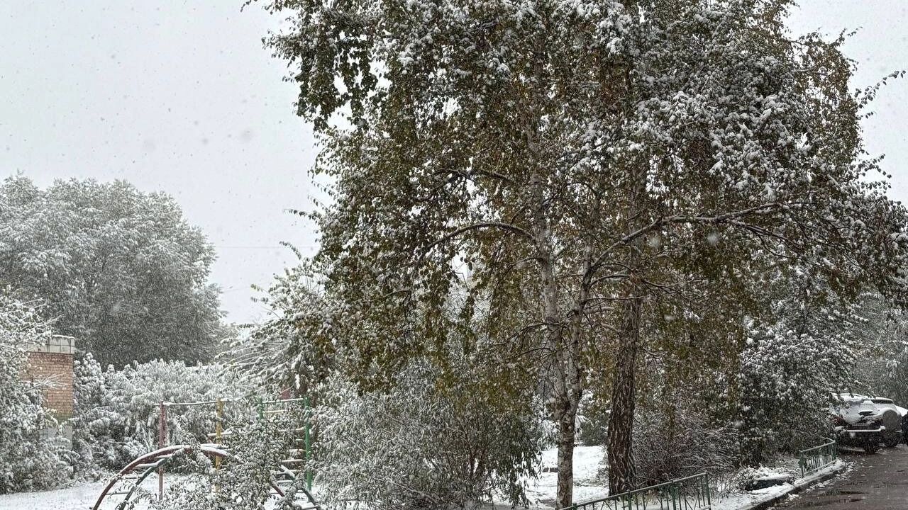 Омск 10 октября завалило снегом