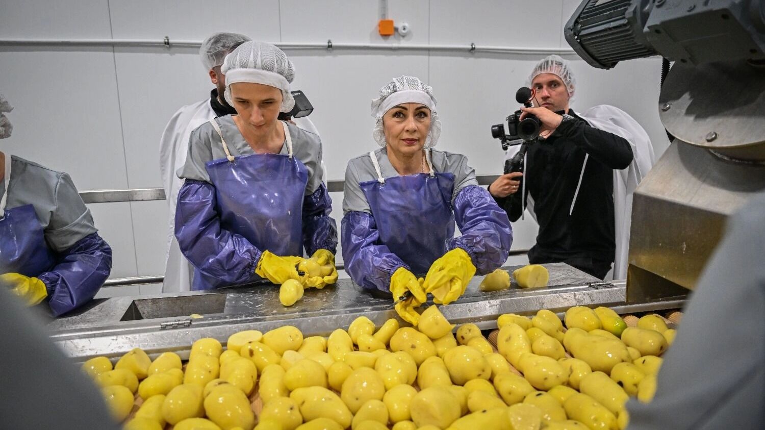 Завод по производству картофеля фри