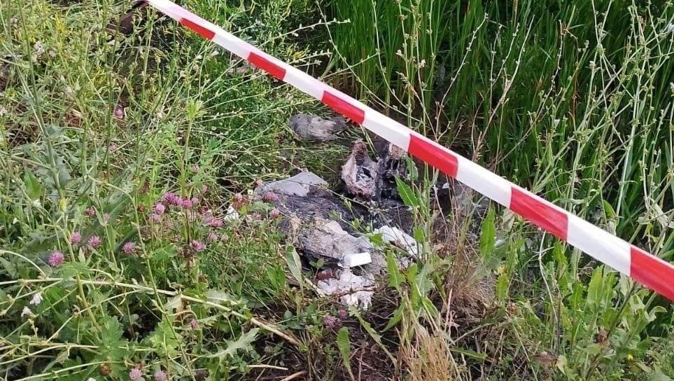 На улице в Можге нашли черепа и шкуры крупного рогатого скота