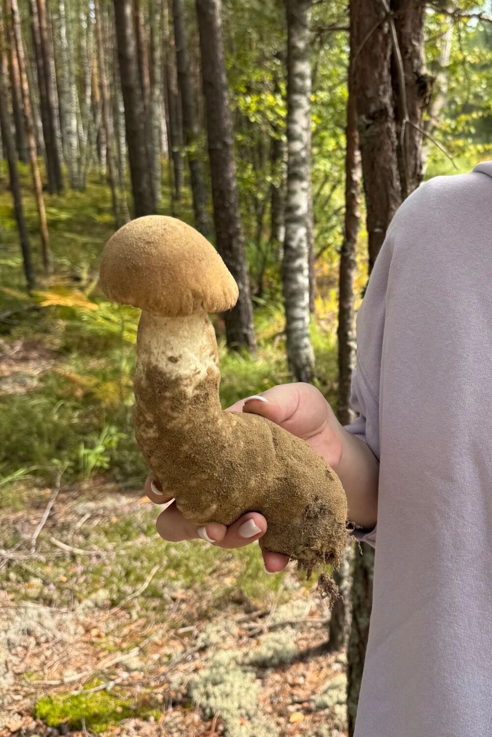 Грибы-уродцы в Нижегородской области