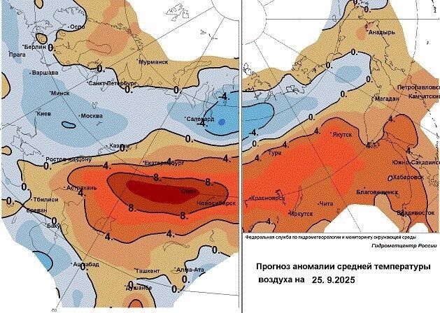 В Омскую область придет аномальное тепло