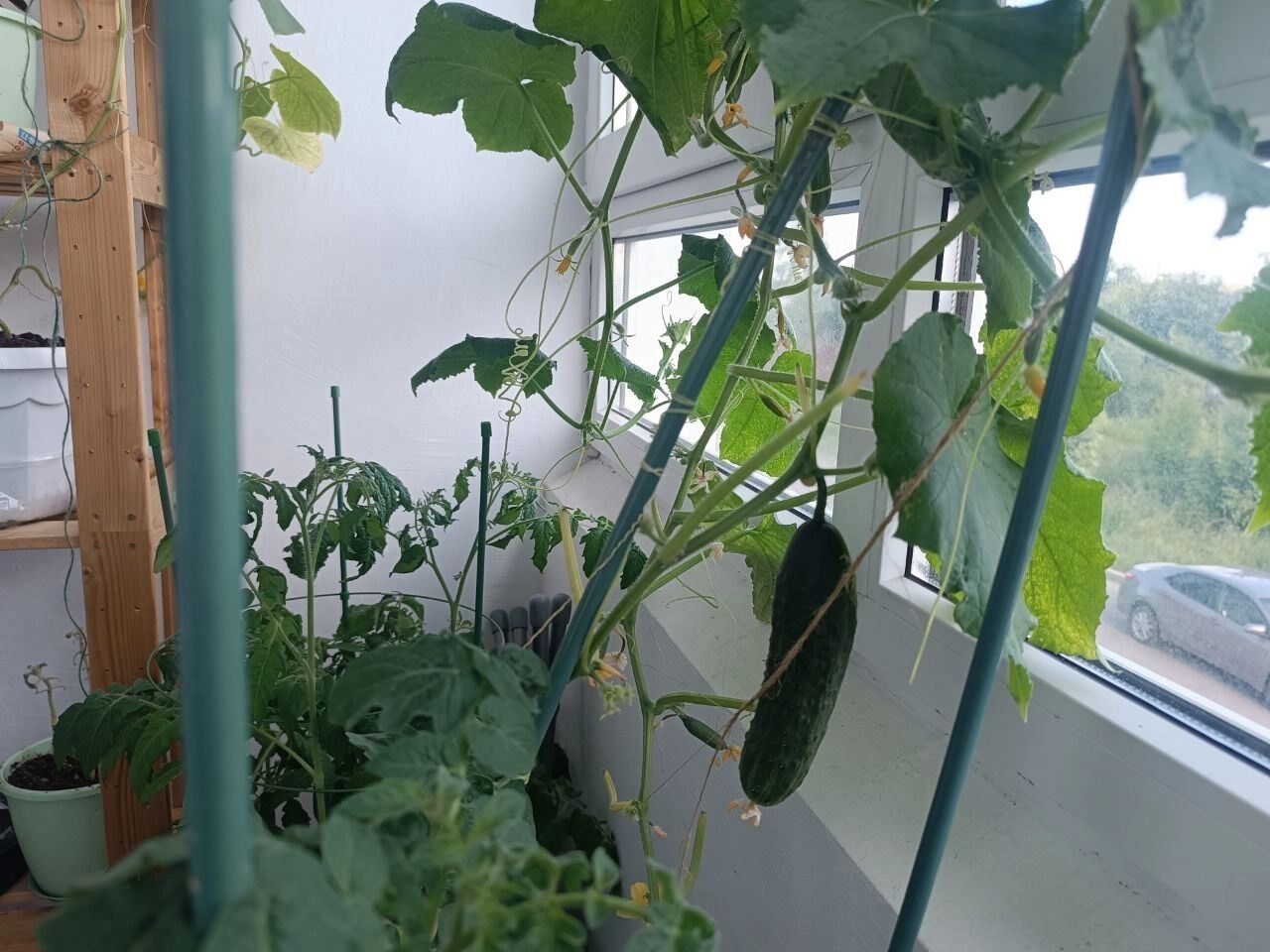 Как выглядит балкон в конце июня 2025 года