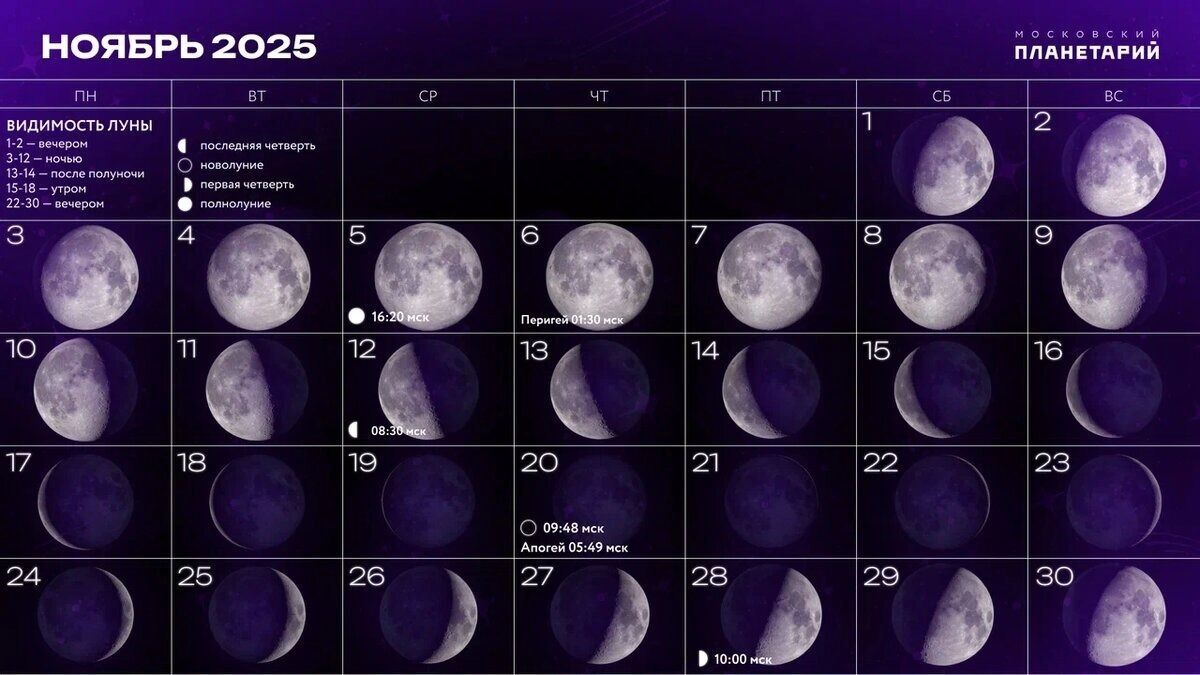 Самая близкая Луна года: 5 ноября небо покажет редкое совпадение орбит