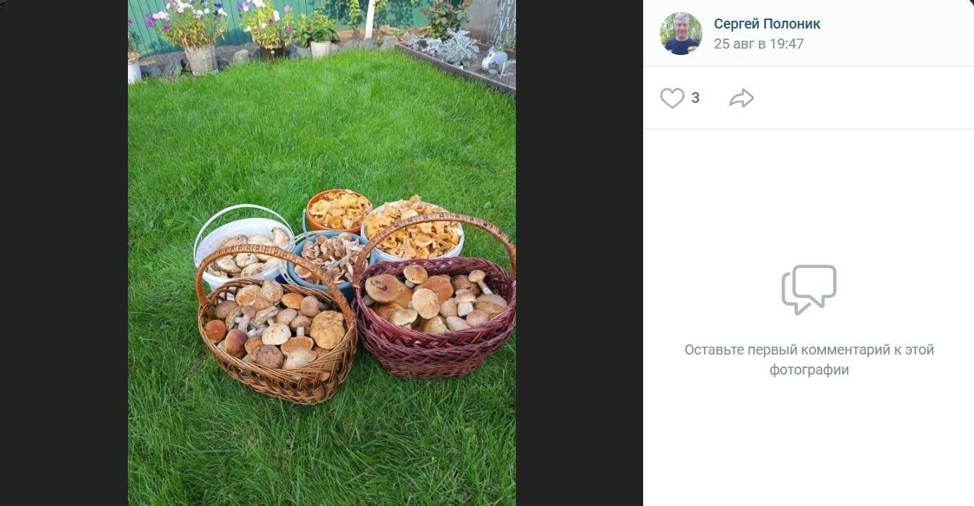 Сбор грибов в&nbsp;Азовском районе