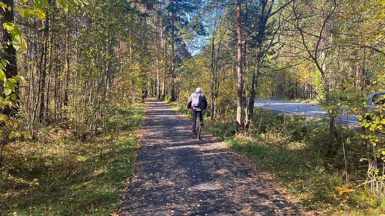 Прогулка в лесу