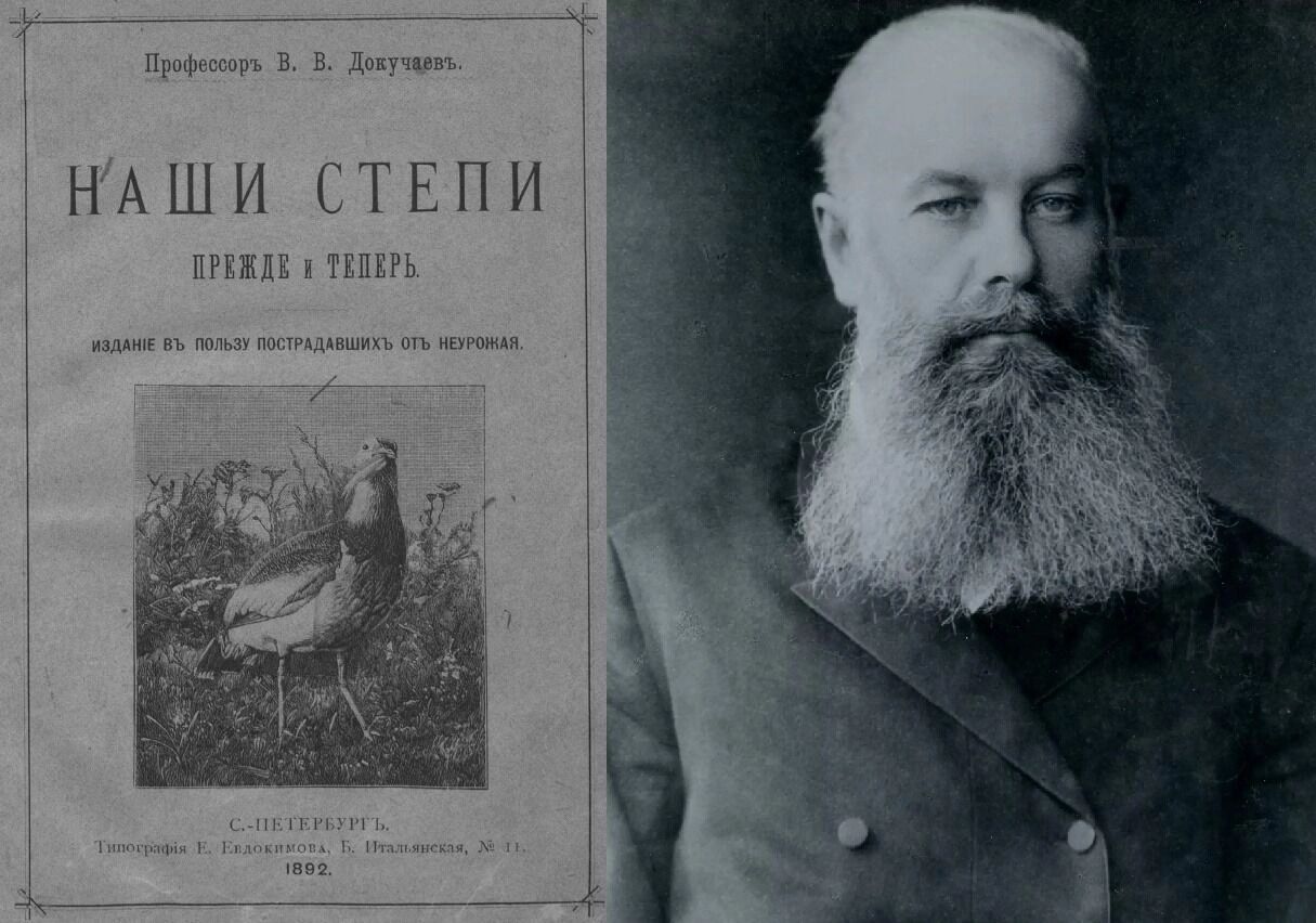 Засуха и новый неурожай. Почему власти не берегут сталинское наследие — лесополосы