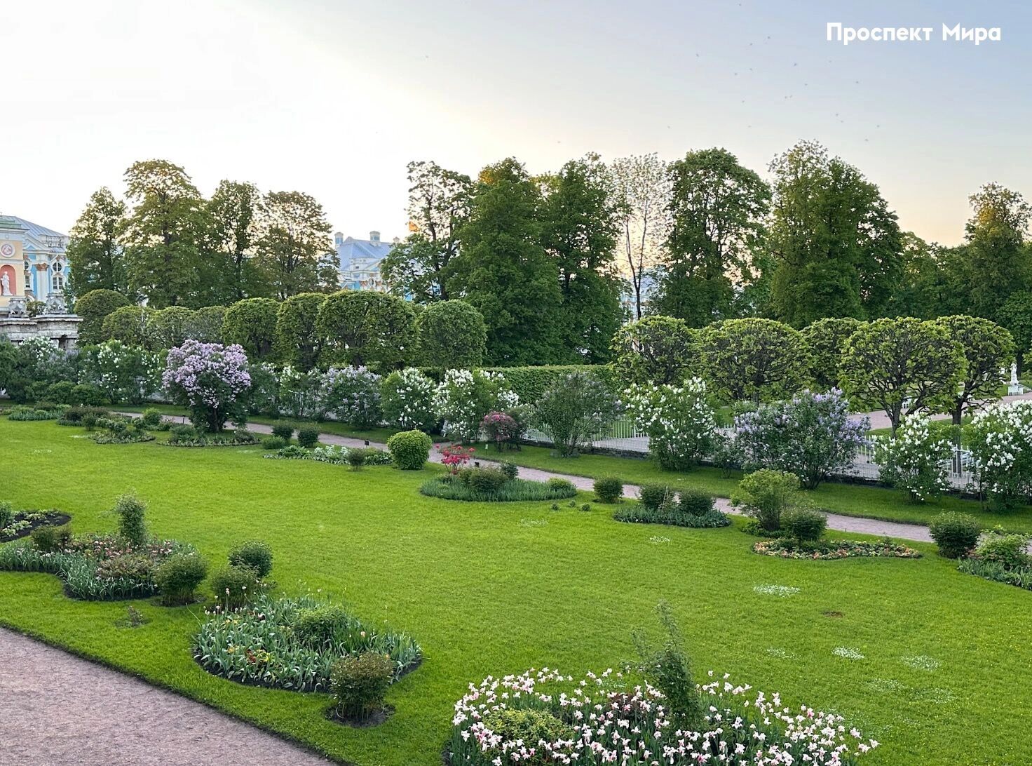 Царское Село