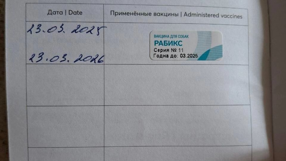 На фото: отметки о вакцинации в ветпаспорте