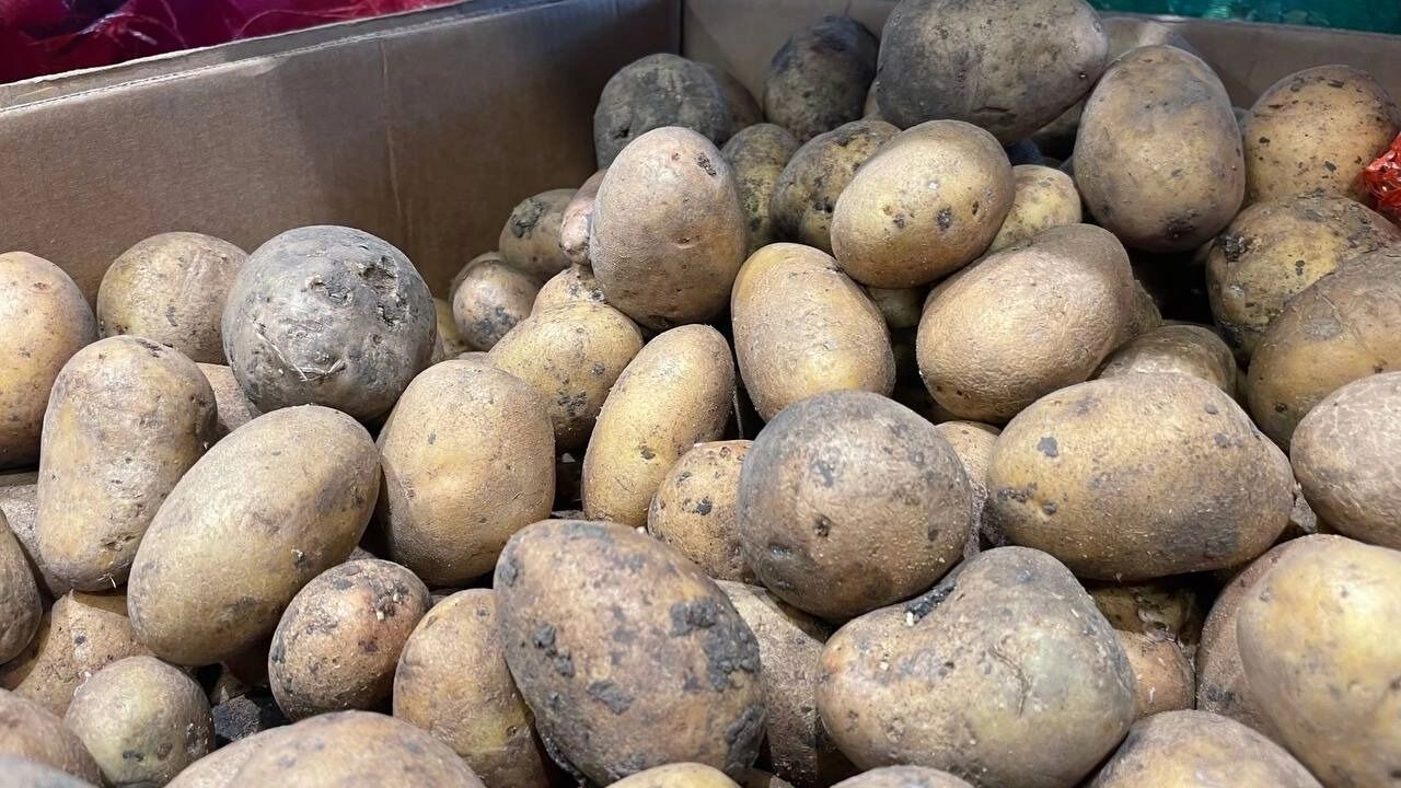 Волгоградцы пришли в ужас от цен на картофель