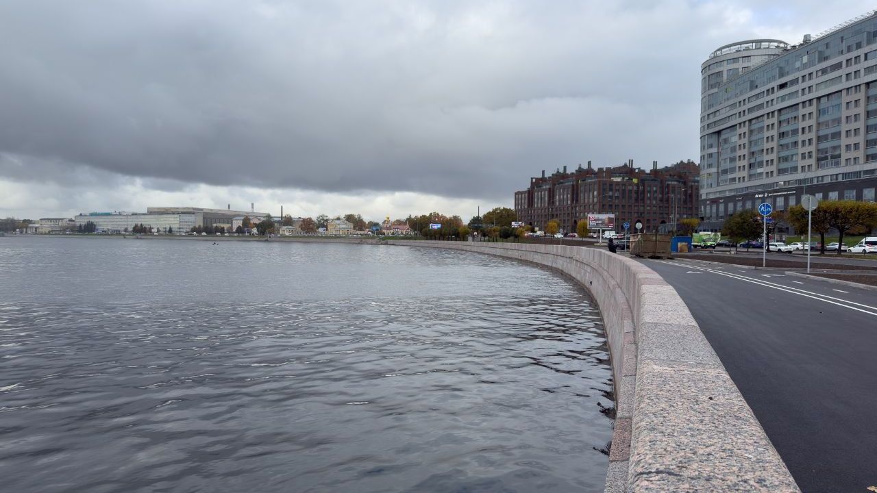 МЧС предупредило петербуржцев о ненастье 13 ноября