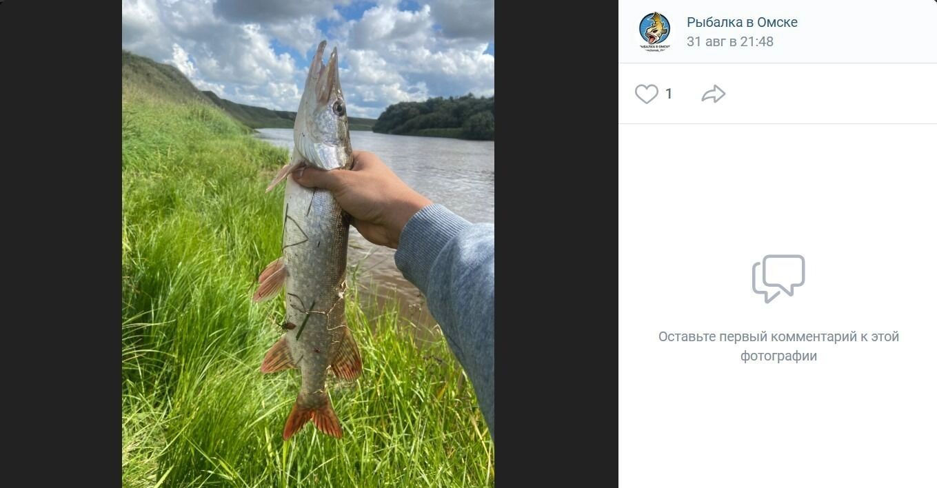 Клюет рыба и в Кормиловском районе