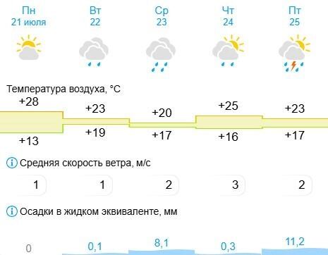 Синоптики прогнозируют, что со вторника, 22 июля, в Челябинске каждый день будут идти дожди