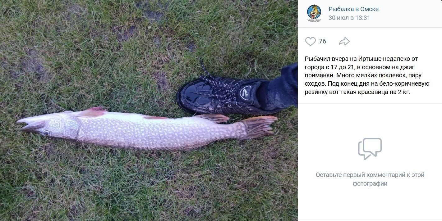 Приятный улов недалеко от Омска