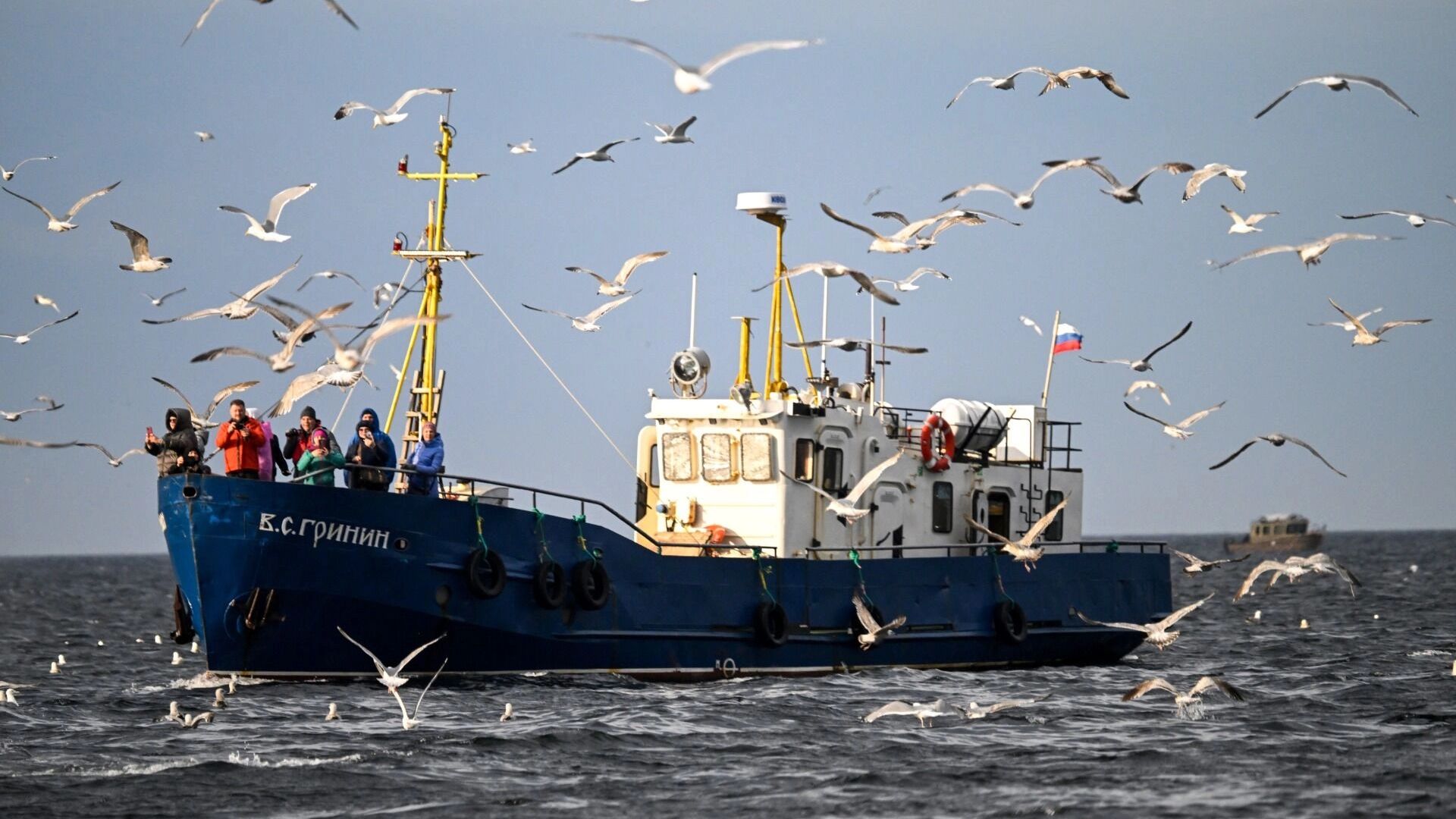 Средиземноморская диета для избранных. Как селедка с минтаем превратились в деликатес Средиземноморская диета для избранных. Как селедка с минтаем превратились в деликатес