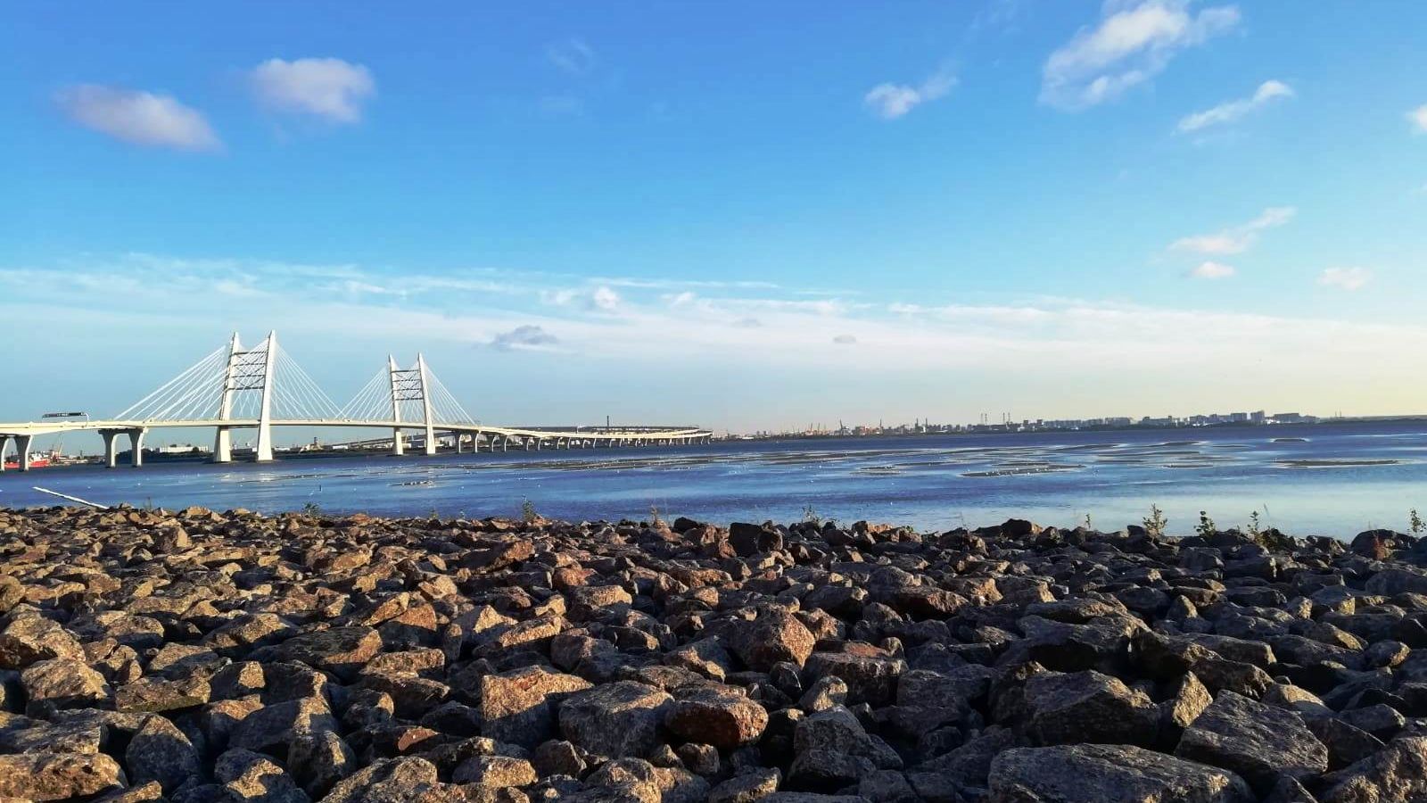 Власти Петербурги анонсировали строительство новых развязок ЗСД Власти Петербурги анонсировали строительство новых развязок ЗСД