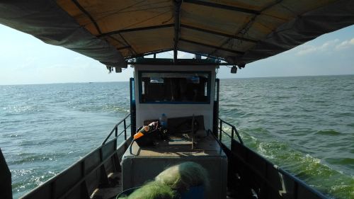 Жігітке желіде жыныстық қатынас үйретіліп жатыр